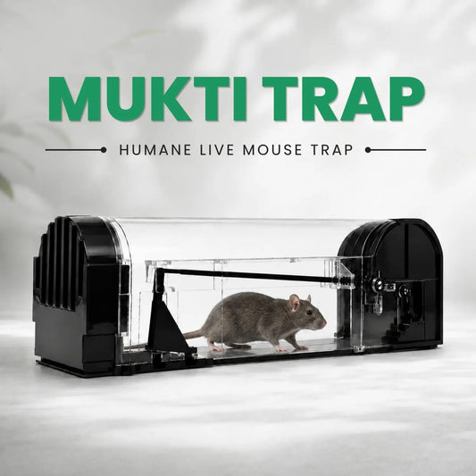 Mukti Humane Rat Trap | Premium Smart Rat Trap & Clear Acrylic Live Capture Device