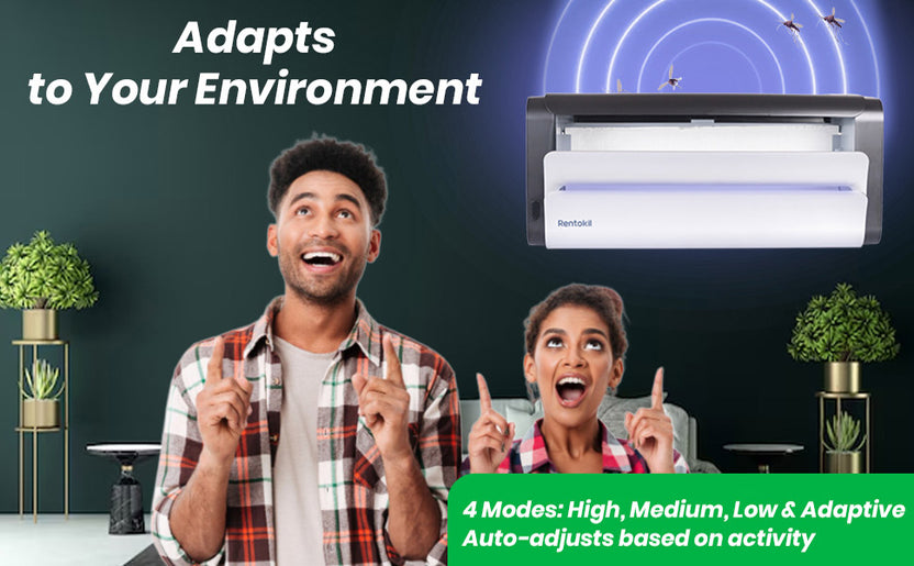 Automatic Fly Catcher | Lumnia Compact | PCI HiCare